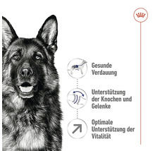 Produktinformationen zu gesundem Futter für Hunde mit Unterstützung für Verdauung, Knochen und Vitalität.