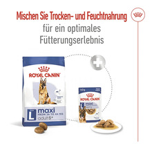 Royal Canin Maxi Adult 5+ Trockenfutter und Royal Canin Maxi Adult 5+ Feuchtfutter für Hunde