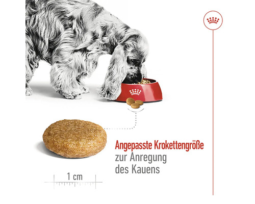 Ein Hund frisst Hundefutter aus einer roten Schüssel, das Hundefutter hat eine Krokettengröße von 1 cm.