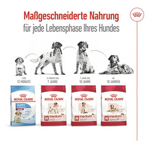 Royal Canin Hundefutter für jede Lebensphase des Hundes.