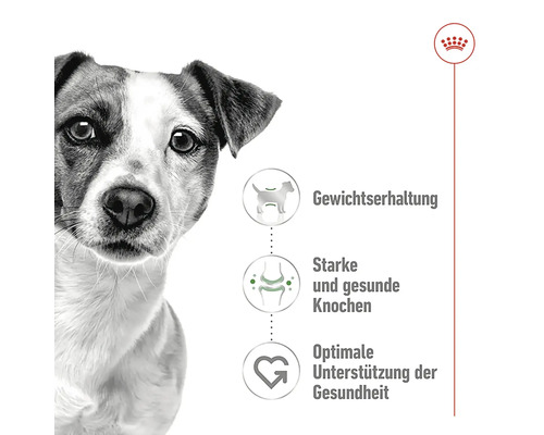 Grafik mit Hund, Symbol für Gewichtserhaltung, Symbol für starke und gesunde Knochen, Symbol für optimale Unterstützung der Gesundheit