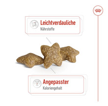 Hundefutter mit leicht verdaulichen Nährstoffen und angepasstem Kaloriengehalt