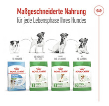 Royal Canin Hundefutter für jede Lebensphase des Hundes