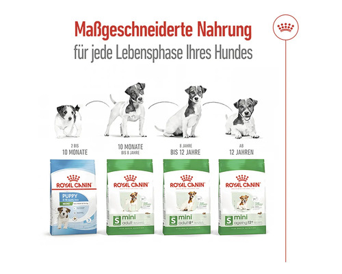 Royal Canin Hundefutter für jede Lebensphase des Hundes