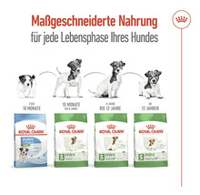 Royal Canin Hundenahrung für jede Lebensphase des Hundes.