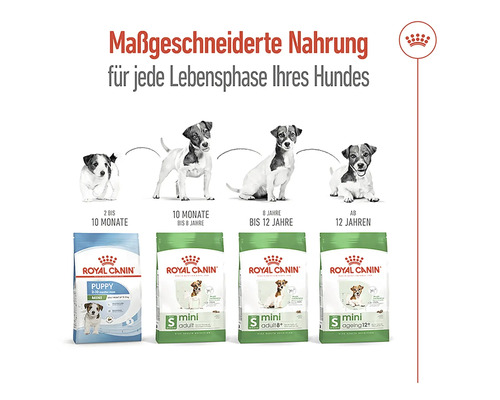 Royal Canin Hundenahrung für jede Lebensphase des Hundes.