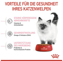 Informationen zu gesundheitlichen Vorteilen von Katzenfutter für Kätzchen