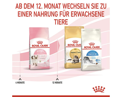 Drei Packungen Royal Canin Katzenfutter für Kitten, Maine Coon und Hauskatzen