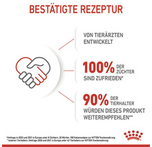 Bestätigte Rezeptur für Katzenfutter mit Tierärztenwicklung und hohen Zufriedenheitswerten