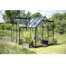 Gewächshaus mit Pflanzen im Garten