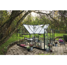 Gewächshaus mit Glaswänden und schwarzem Rahmen im Garten.