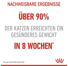Nachweisbare Ergebnisse: Über 90 % der Katzen erreichten in acht Wochen ein gesünderes Gewicht