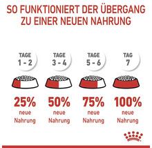 Diagramm zur Umstellung auf ein neues Hundefutter über sieben Tage