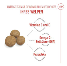 Informationen über Vitamine, Omega-3-Fettsäuren und Präbiotika in Welpenfutter.