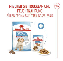 Royal Canin Logo. Packung Hunde Trockenfutter und Feuchtnahrung für Welpen der Größe Medium
