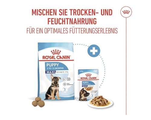 Royal Canin Puppy Maxi Trocken- und Feuchtnahrung für Welpen