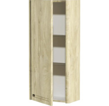 Armoire suspendue couleur bois avec étagères pour montage mural