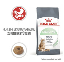 Royal Canin Digestive nourriture sèche pour chats pour favoriser une digestion saine