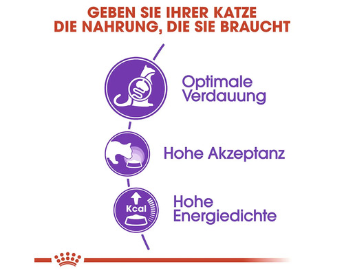 Katzenfutter Vorteile: Optimale Verdauung, hohe Akzeptanz, hohe Energiedichte