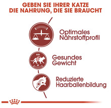 Symbole für optimales Nährstoffprofil, gesundes Gewicht und reduzierte Haarballenbildung bei Katzenfutter