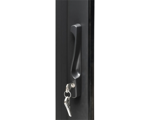 Poignée avec clé pour porte