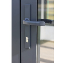 Porte avec poignée de porte et serrure Yale