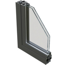 Profilé de fenêtre en coupe transversale avec double vitrage