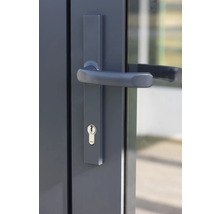 Gros plan d'une porte avec poignée et cylindre de serrure