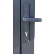 Vue détaillée d'une porte grise avec poignée et serrure Yale