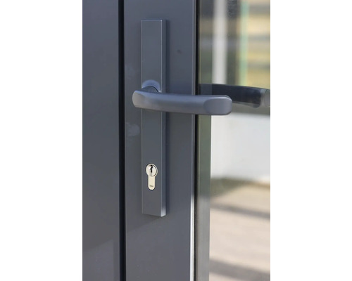 Garniture de porte avec poignée de porte et cylindre de fermeture de Yale