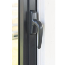 Fenêtre avec poignée de fenêtre