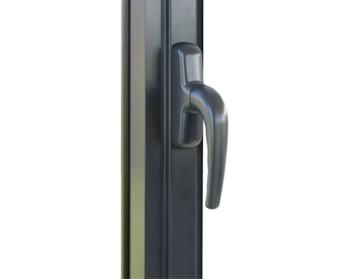 Ferrure de fenêtre avec poignée