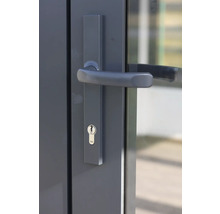 Garniture de porte avec serrure et béquille