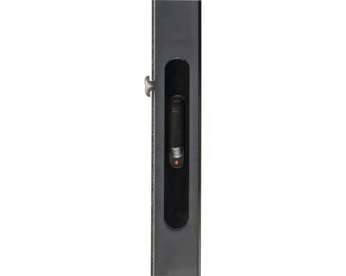 Coquille de fermeture avec olive pour fenêtres et portes