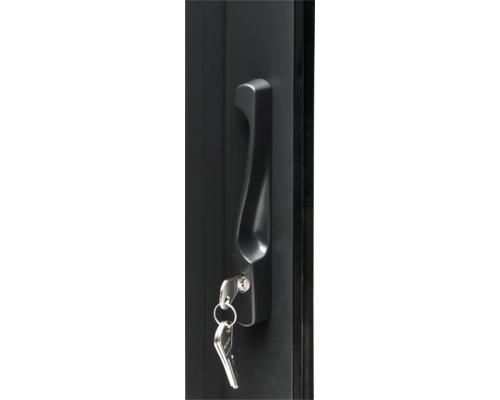 Porte avec poignée et clé