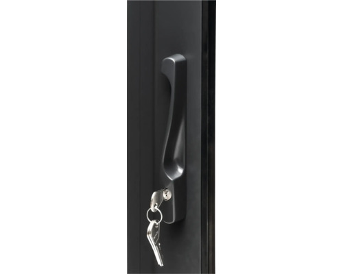 Porte avec poignée de porte et clé