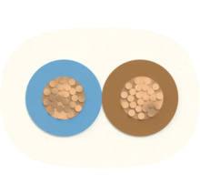 Section transversale d'un câble électrique avec des conducteurs en cuivre