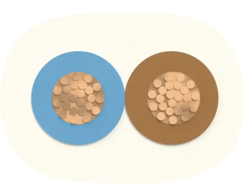 Section transversale d'un câble électrique avec des conducteurs en cuivre