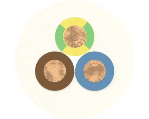 Section transversale d'un câble électrique à trois conducteurs