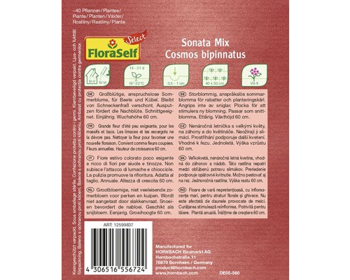 Sonata Mix Cosmos bipinnatus seed packet for approximately 40 plants