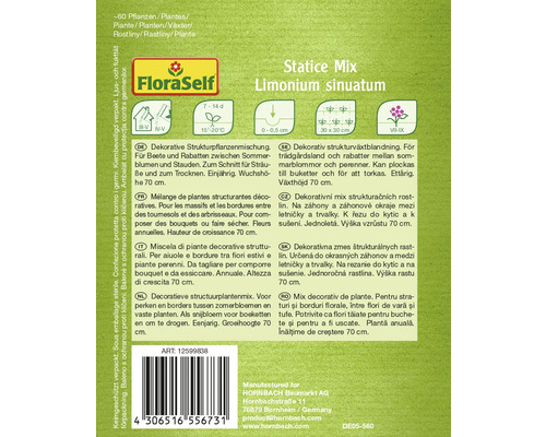 Statice Mix Limonium sinuatum Samenpackung von FloraSelf