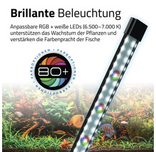 Aquarium mit LED-Beleuchtung zur Förderung des Pflanzenwachstums