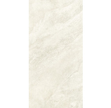 Gros plan d'un carreau de sol avec décor en pierre.