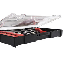 Jeu de forets dans une boîte ouverte avec couvercle transparent