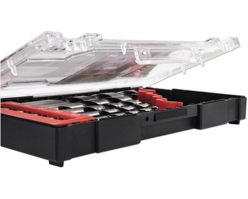 Jeu de forets dans une boîte ouverte avec couvercle transparent