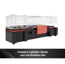 Jeu de fraises ouvert dans une boîte de rangement