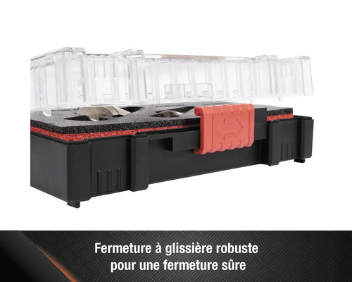 Jeu de fraises ouvert dans une boîte de rangement