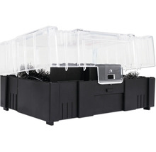 Boîte d'appât pour souris avec fenêtre de visualisation