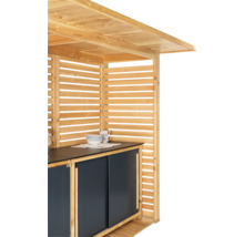 Vue détaillée d'une maison de jardin en bois avec plan de travail et armoires