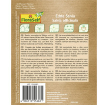 Echte Salvia Samenpackung von FloraSelf